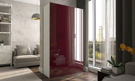 Распашной шкаф Гамма-9 в стиле loft