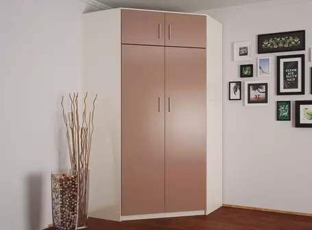 Шкаф угловой Эконом 15